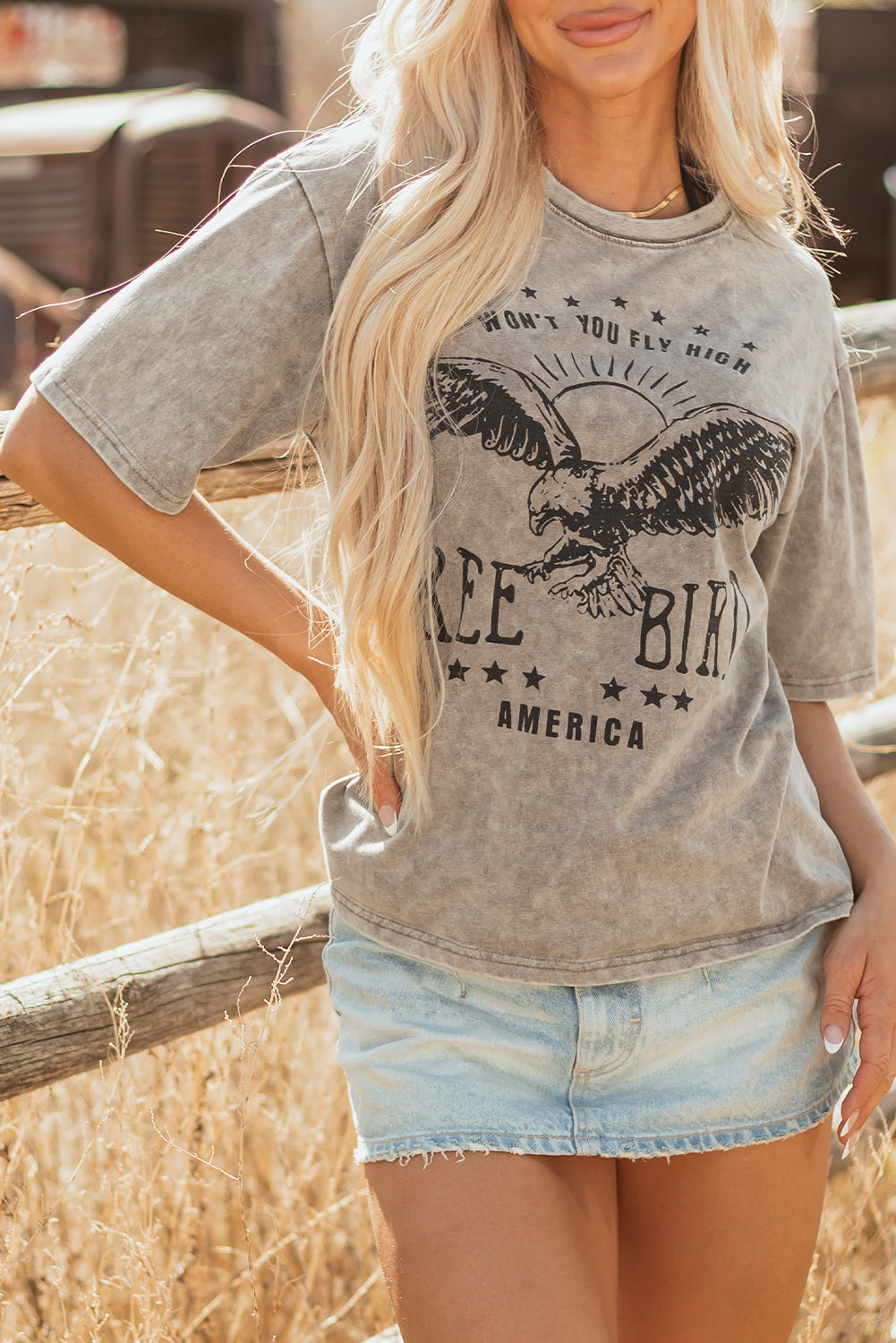 Parchment Free Bird Vintage Graphic Washed Tee