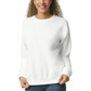 Unisex Custom Sweatshirt (Crew Neck)